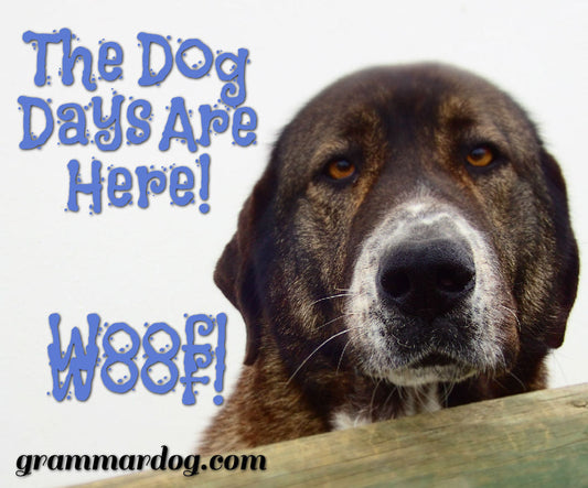 THE DOG DAYS ARE HERE